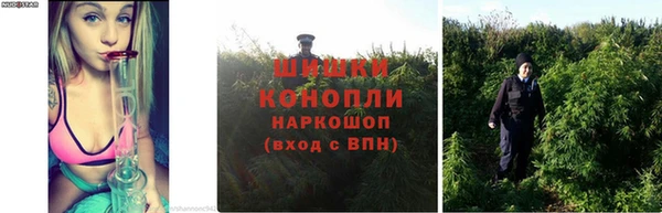 кокаин перу Бородино