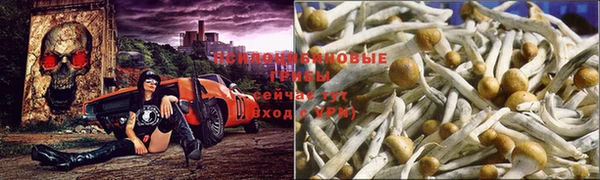 хмурый Бронницы